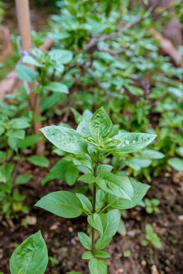 How to Select the Best Eco-Friendly Jewelry Pieces for a Conscious Fashion Statement?